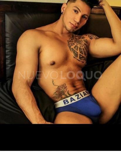 NuevoLoquo3
