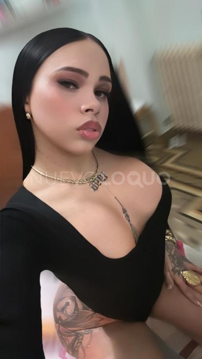 NuevoLoquo2