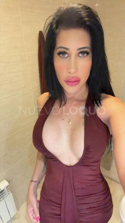 NuevoLoquo3