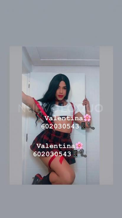 NuevoLoquo1