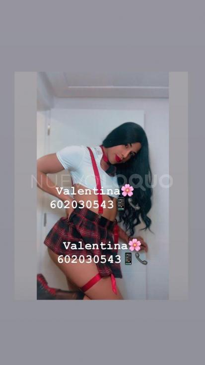 NuevoLoquo5