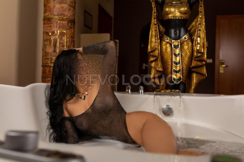 NuevoLoquo2