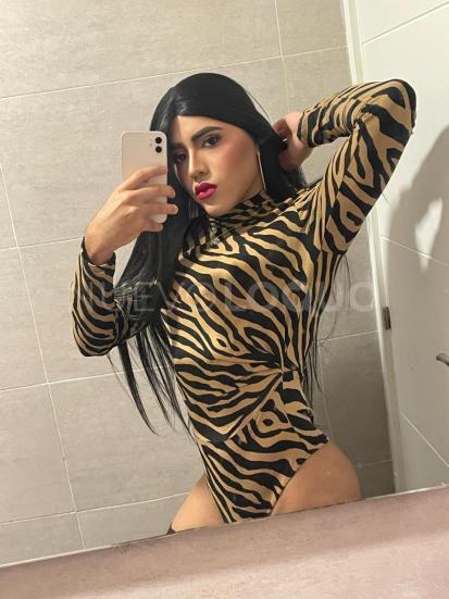 NuevoLoquo0