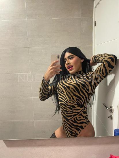 NuevoLoquo3