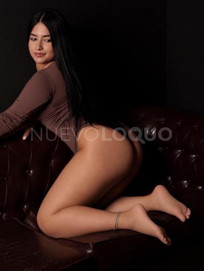 NuevoLoquo3