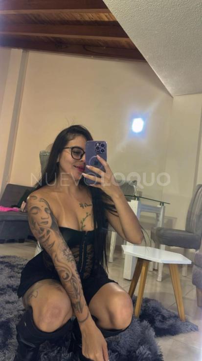 NuevoLoquo2