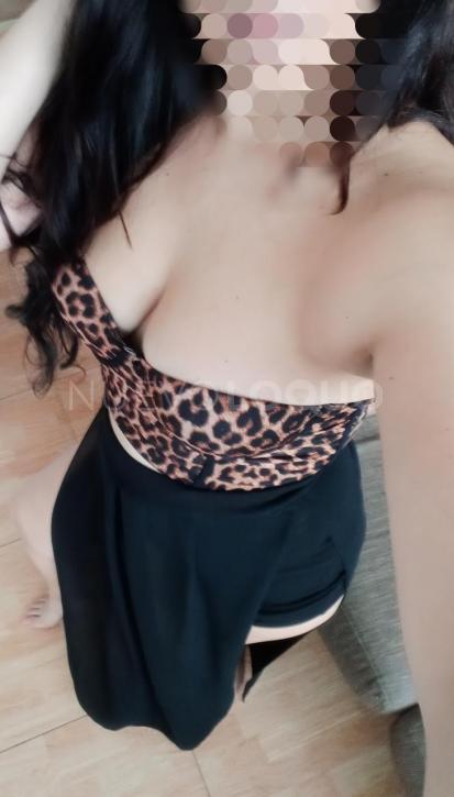 NuevoLoquo2