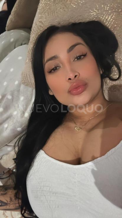NuevoLoquo2