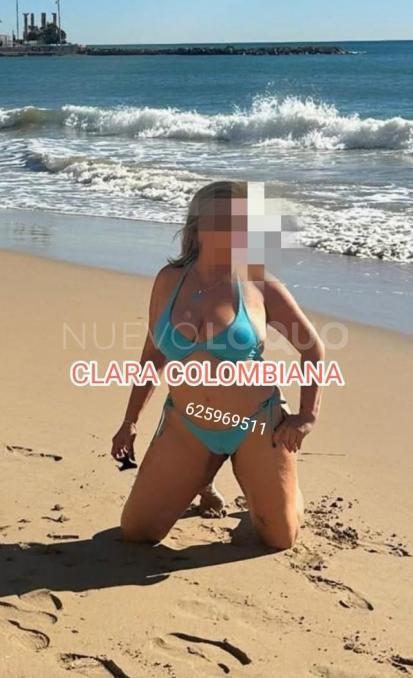 contactos pasion