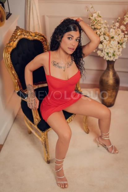 NuevoLoquo2