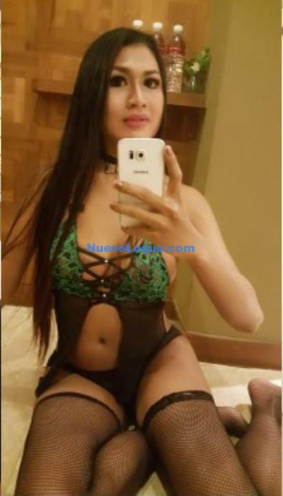 NuevoLoquo3