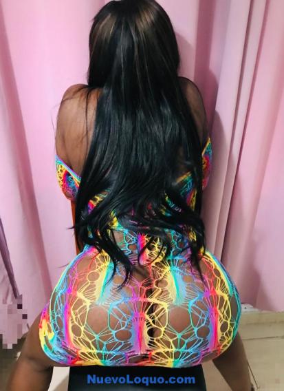NuevoLoquo2