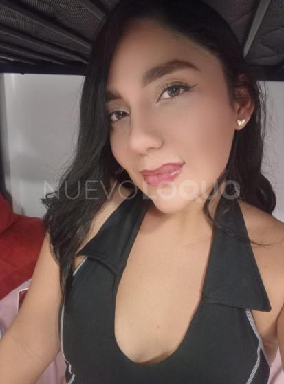 NuevoLoquo3