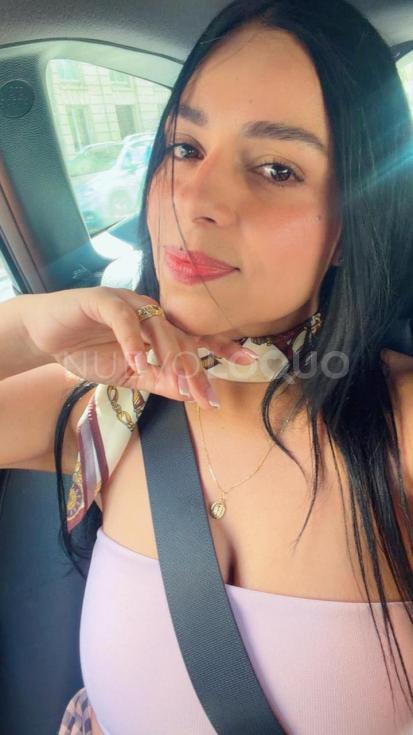 NuevoLoquo1