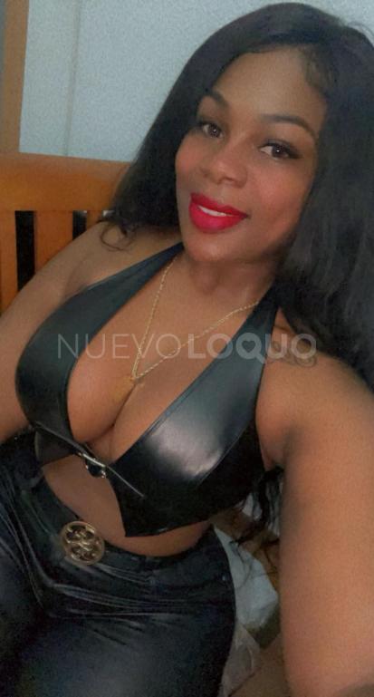 NuevoLoquo4
