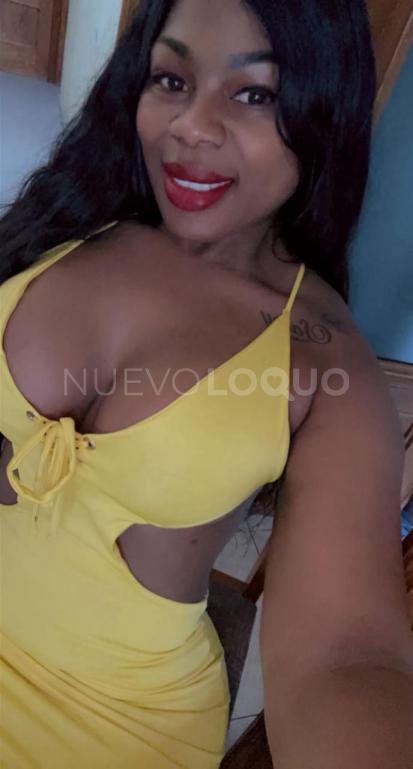 NuevoLoquo5