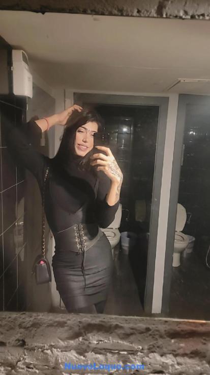 NuevoLoquo1