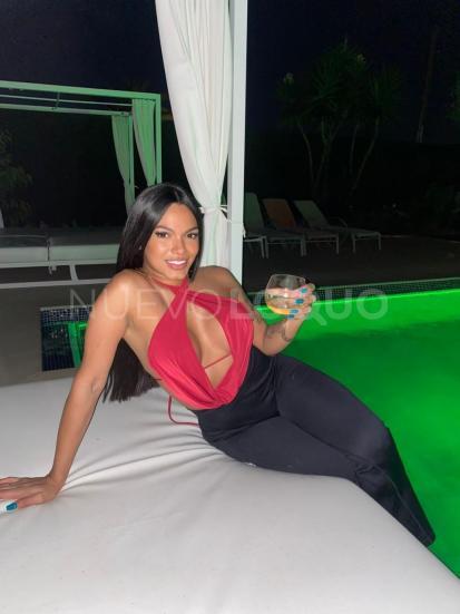 NuevoLoquo3