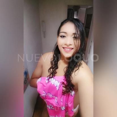 NuevoLoquo3