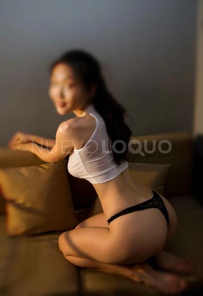 NuevoLoquo3