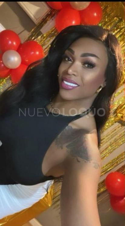 NuevoLoquo1