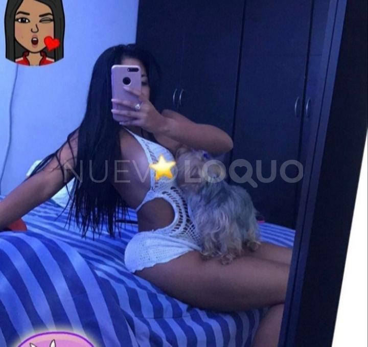 NuevoLoquo1
