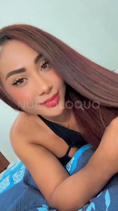 NuevoLoquo4