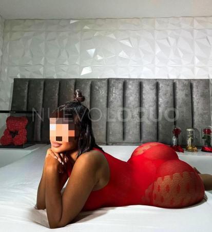 NuevoLoquo3