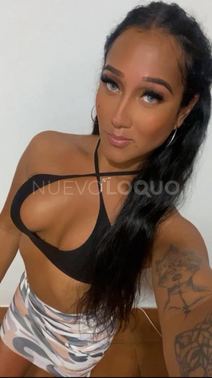 NuevoLoquo3
