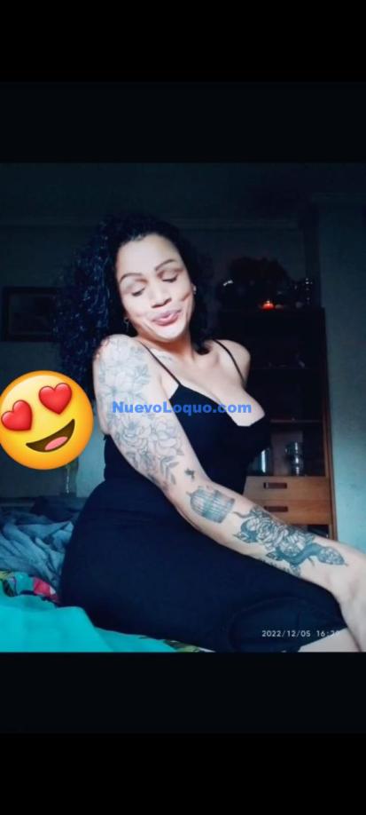 NuevoLoquo2
