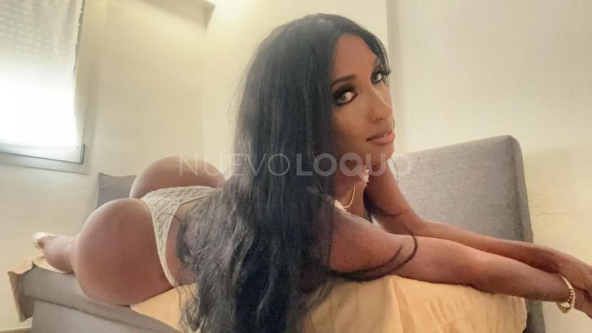 NuevoLoquo1