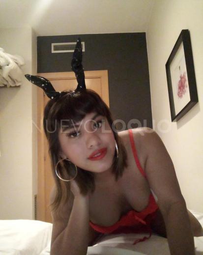 NuevoLoquo1