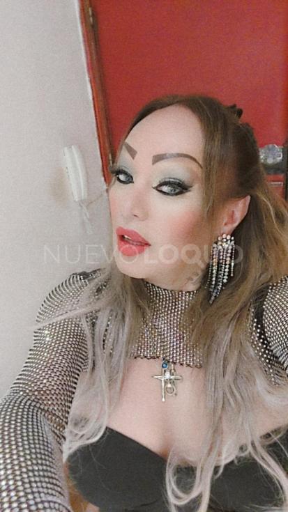 NuevoLoquo2