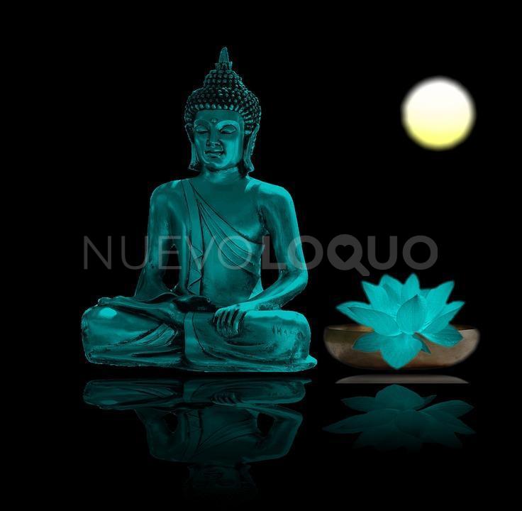 NuevoLoquo0