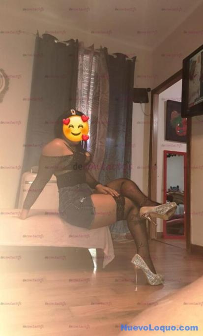NuevoLoquo2