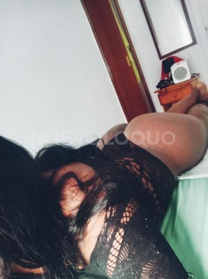 NuevoLoquo2