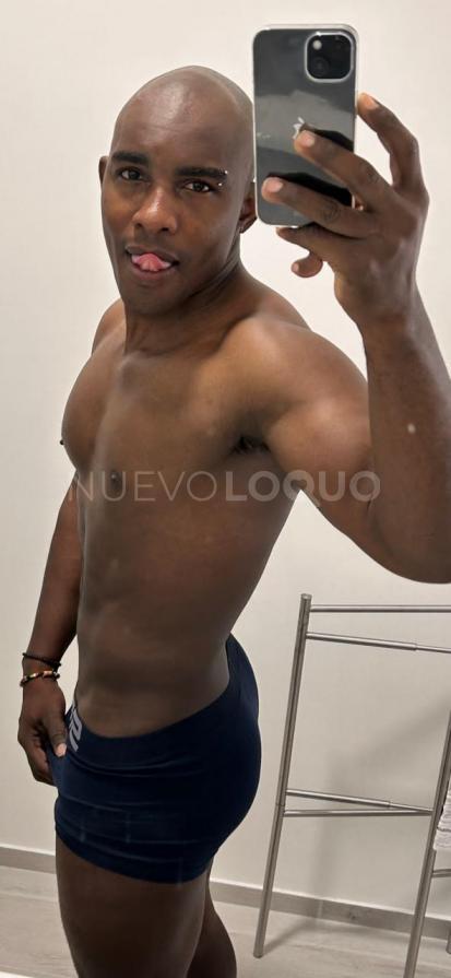 NuevoLoquo1