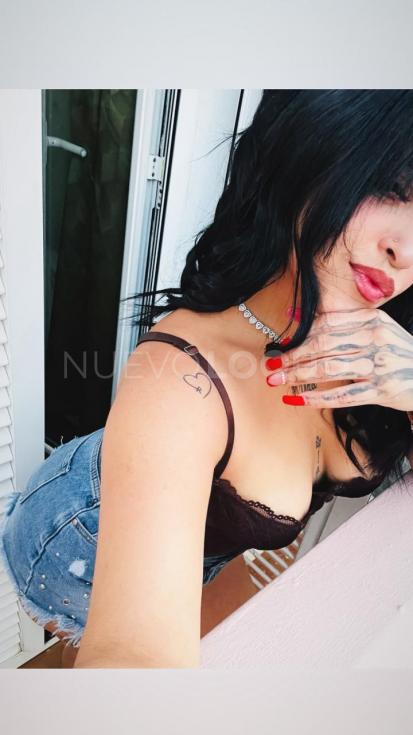 NuevoLoquo3