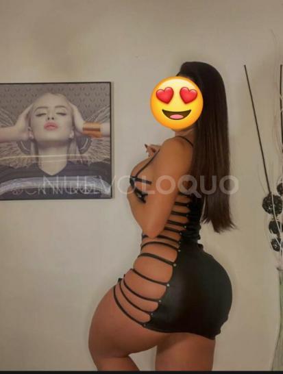 NuevoLoquo3