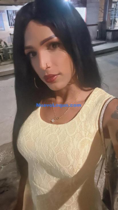 NuevoLoquo3