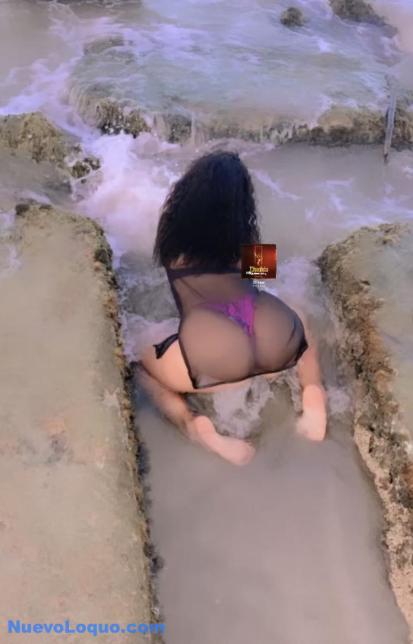 NuevoLoquo3