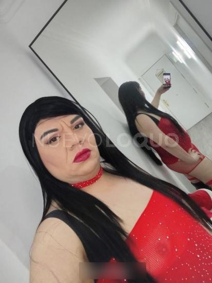 NuevoLoquo3
