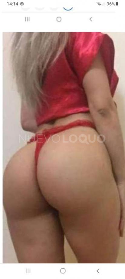 NuevoLoquo2
