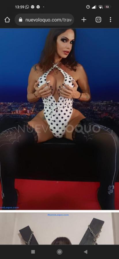 NuevoLoquo2