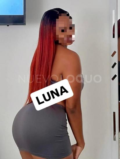 NuevoLoquo1