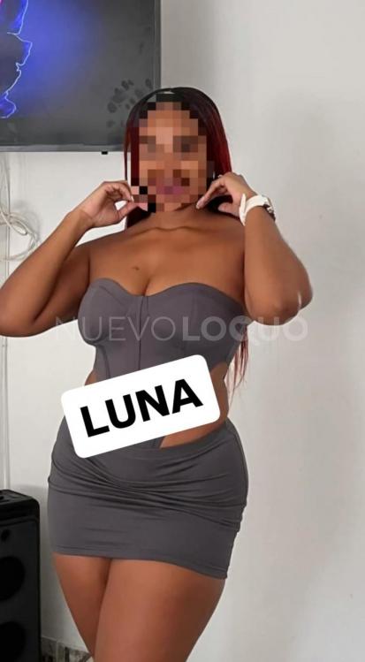 NuevoLoquo2