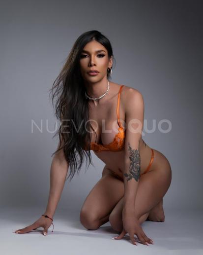 NuevoLoquo2