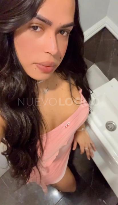 NuevoLoquo4