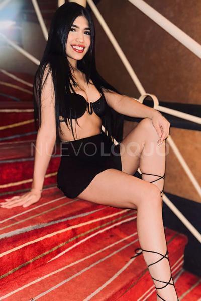 NuevoLoquo2