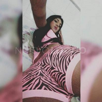 NuevoLoquo1